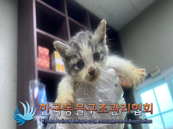 종료(자연사) 한국…